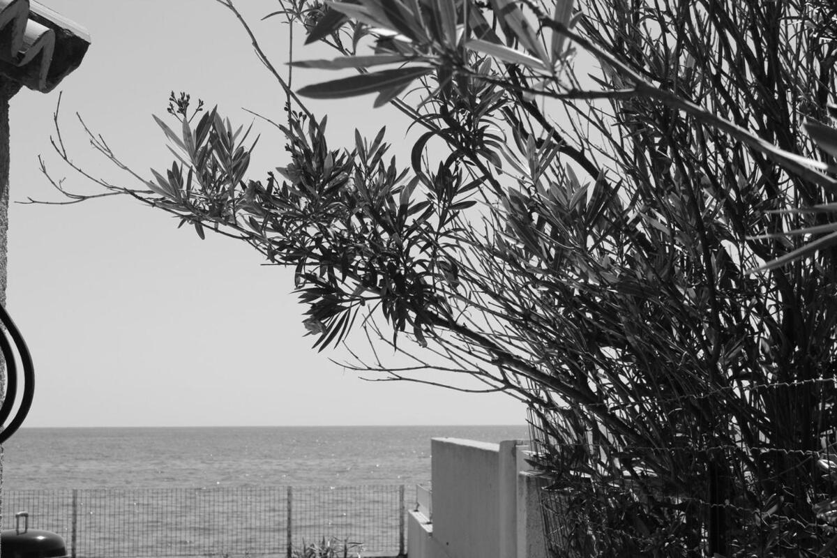 Bord de mer, pieds dans l'eau, vue panoramique Villa San-Nicolao Kültér fotó