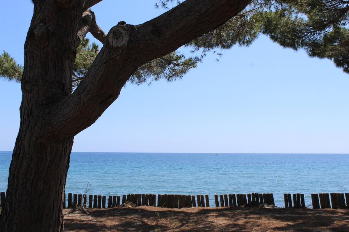 Bord de mer, pieds dans l'eau, vue panoramique Villa San-Nicolao Kültér fotó